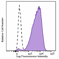 PE anti-GATA2 - Image 3