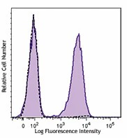 PE anti-Histone H3 Phospho (Ser28)