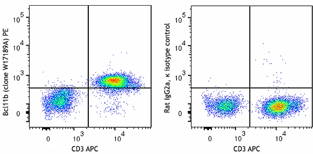 PE anti-human Bcl11b