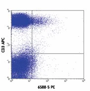 PE anti-human CCR10