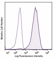 PE anti-human CD10