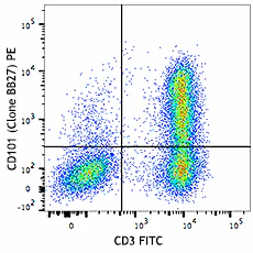 PE anti-human CD101 (BB27)
