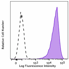 PE anti-human CD117 (c-kit)