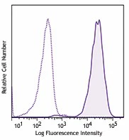 PE anti-human CD11b