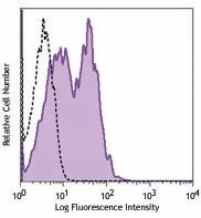 PE anti-human CD120b