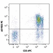 PE anti-human CD127 (IL-7Rα)