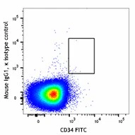 PE anti-human CD133 - Image 2