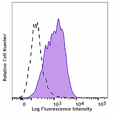 PE anti-human CD133