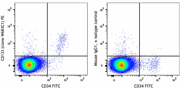 PE anti-human CD133