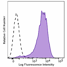 PE anti-human CD138 (Syndecan-1)