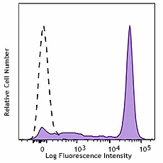 PE anti-human CD14