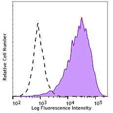 PE anti-human CD143 (Angiotensin-converting enzyme)