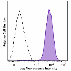 PE anti-human CD144 Recombinant