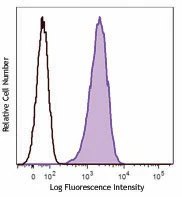 PE anti-human CD146