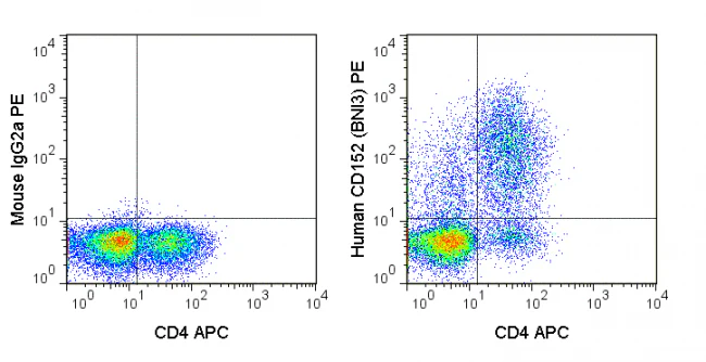 PE Anti-Human CD152 (CTLA-4) (BNI3)