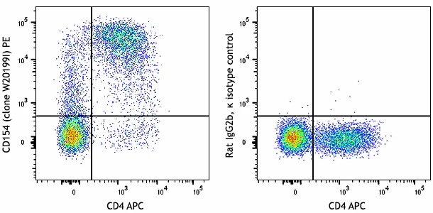 PE anti-human CD154