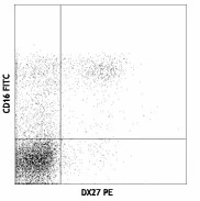 PE anti-human CD158b/j (KIR2DL2/L3/S2)