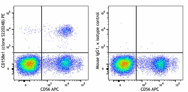PE anti-human CD158e1 (KIR3DL1, NKB1)
