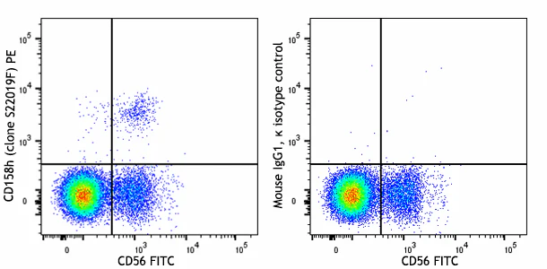 PE anti-human CD158h (KIR2DS1)