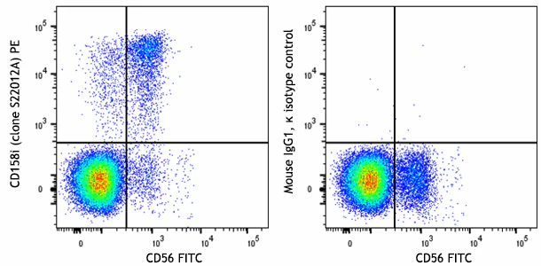 PE anti-human CD158i (KIR2DS4)