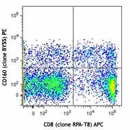 PE anti-human CD160