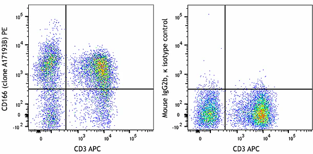 PE anti-human CD166