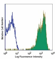 PE anti-human CD18