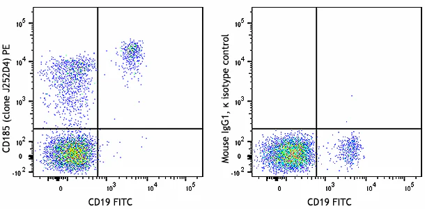 PE anti-human CD185 (CXCR5)