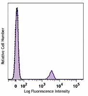 PE anti-human CD19