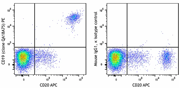 PE anti-human CD19 Recombinant
