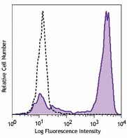 PE anti-human CD192 (CCR2)