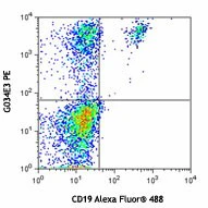 PE anti-human CD196 (CCR6)