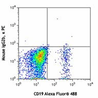 PE anti-human CD196 (CCR6) - Image 2