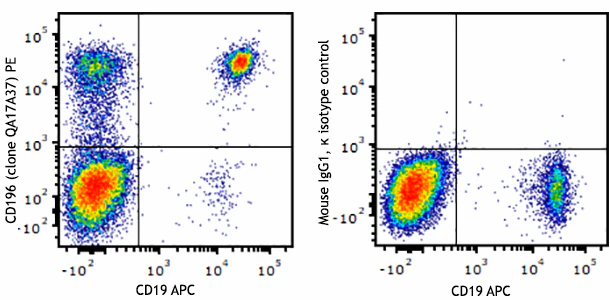 PE anti-human CD196 (CCR6) Recombinant