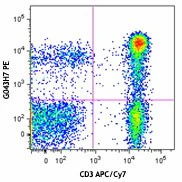 PE anti-human CD197 (CCR7)