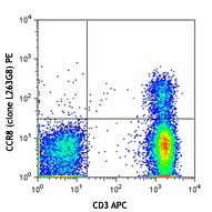 PE anti-human CD198 (CCR8)