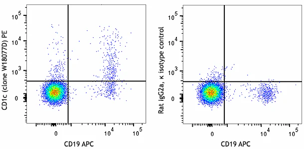 PE anti-human CD1c