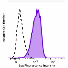 PE anti-human CD202b (Tie2/Tek)