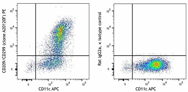 PE anti-human CD209/CD299 (DC-SIGN/L-SIGN)