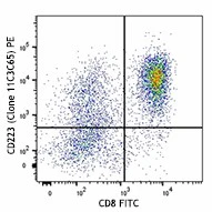 PE anti-human CD223 (LAG-3)