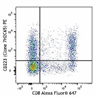 PE anti-human CD223 (LAG-3)