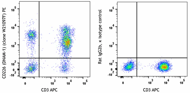 PE anti-human CD226 (DNAM-1)