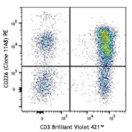 PE anti-human CD226 (DNAM-1)