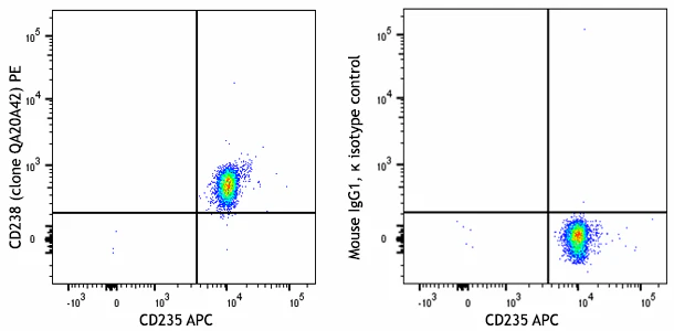 PE anti-human CD238/KEL Recombinant