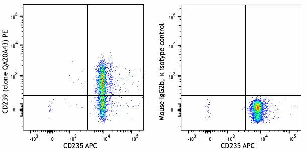 PE anti-human CD239/B-CAM Recombinant