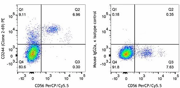 PE anti-human CD244 (2B4)