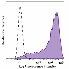 PE anti-human CD25