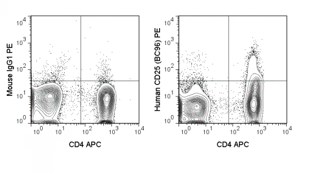 PE Anti-Human CD25 (BC96)