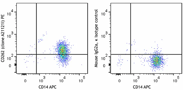 PE anti-human CD262 (DR5, TRAIL-R2)