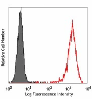 PE anti-human CD271 (NGFR)